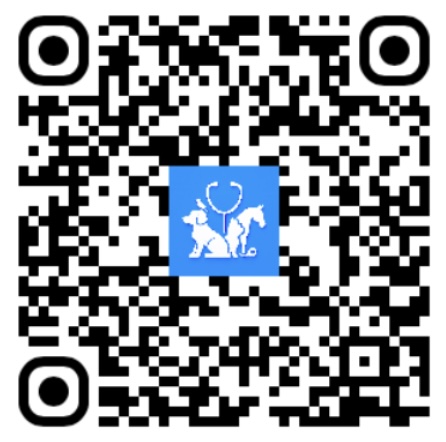 Android QR Code