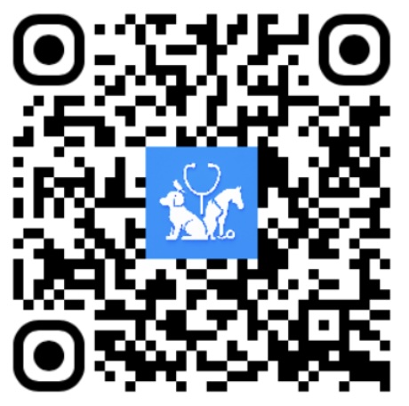 iOS QR Code